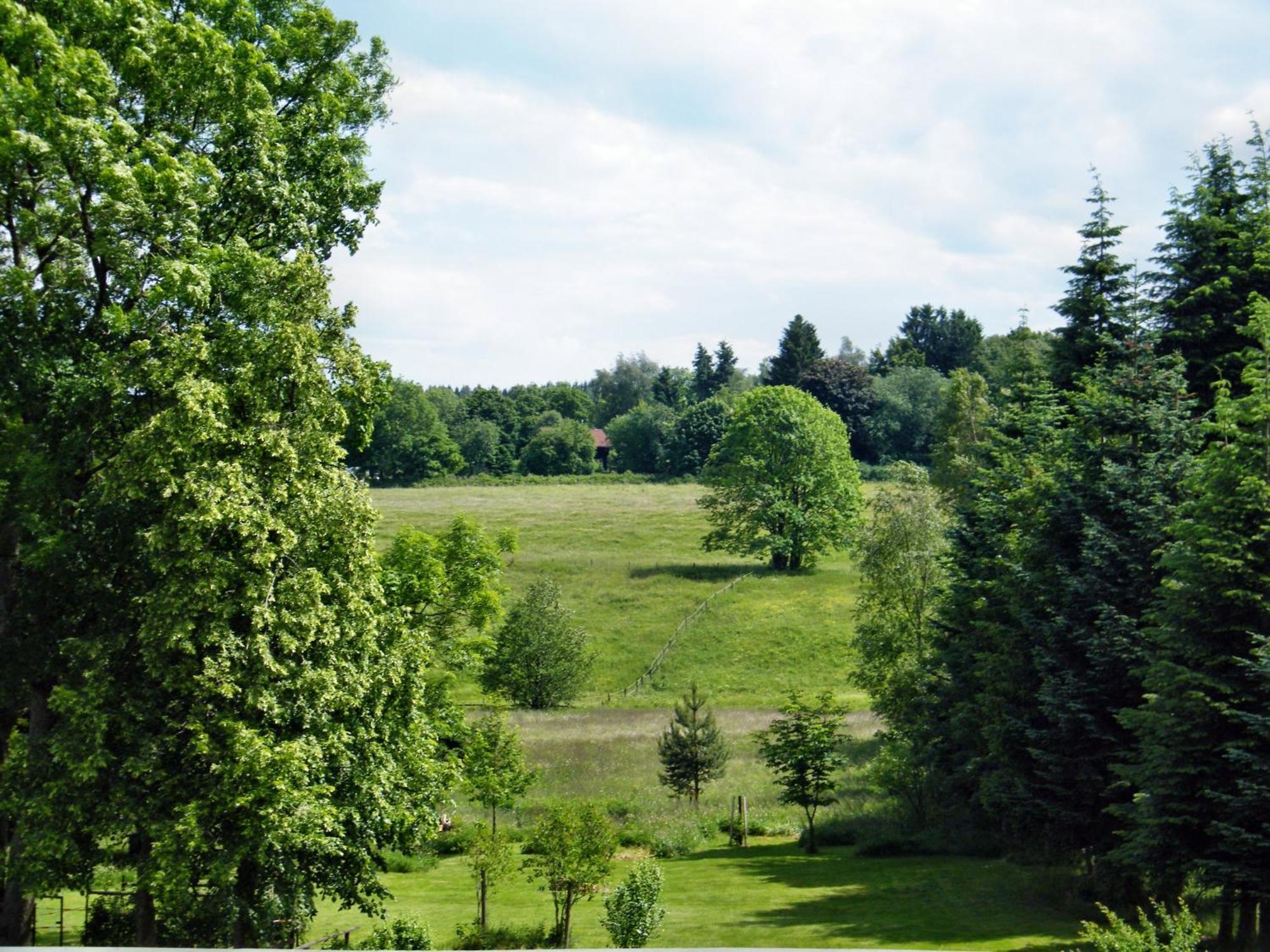 Apartments Carmen-Braunlage Dış mekan fotoğraf